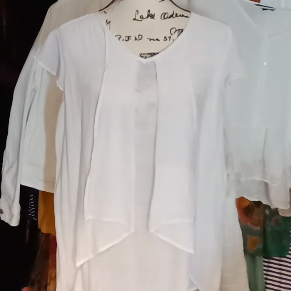 Counterparts Flowy Flutter short sleeve Crinkle Crepe top